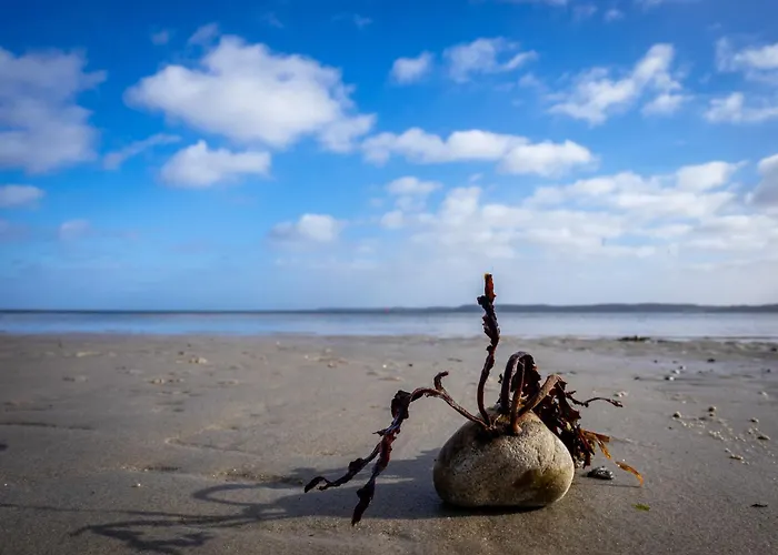 Vakantiehuis Trehus Glücksburg