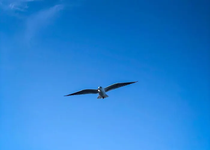 Vakantiehuis Trehus Glücksburg