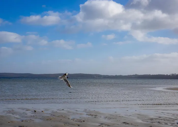 Trehus * Glücksburg